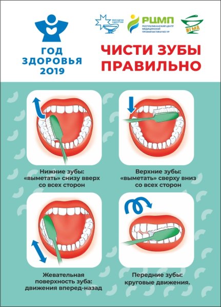 Гигиена зубов картинки для детей