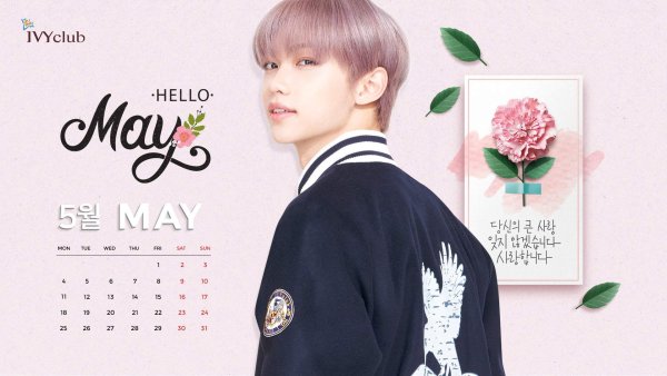 Stray Kids фотообои