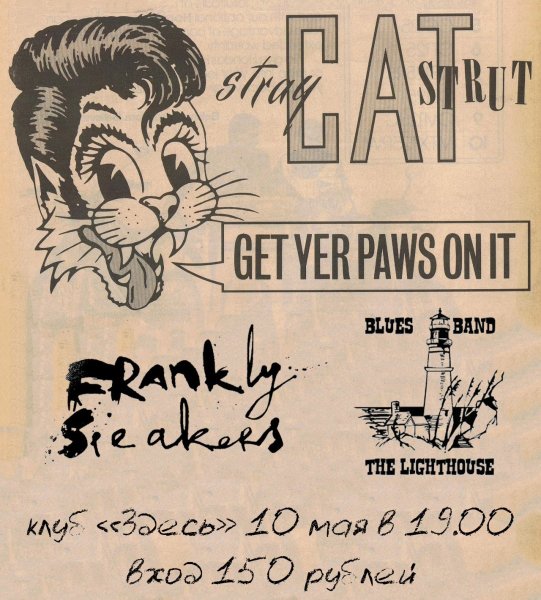 Стрэй кэтс 2020