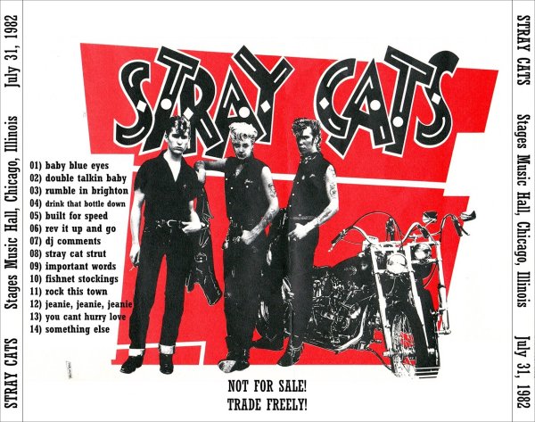 Stray Cat рисунок