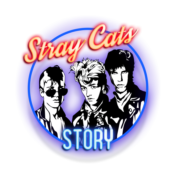 Stray Cat poster