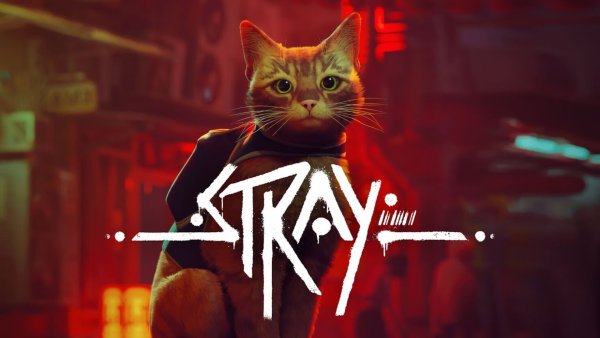 Stray Cats 40 2019 CD Covers