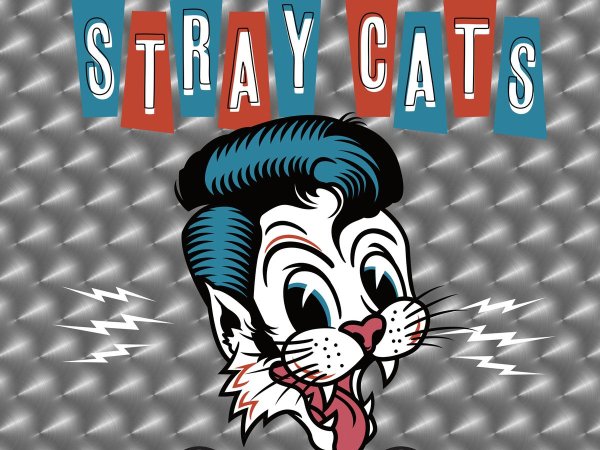 Stray Cat game