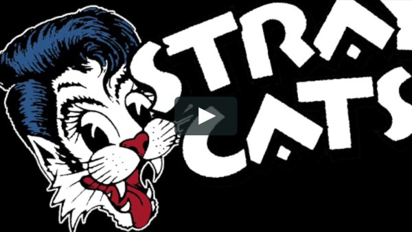 Обложка Stray Cats Original cool