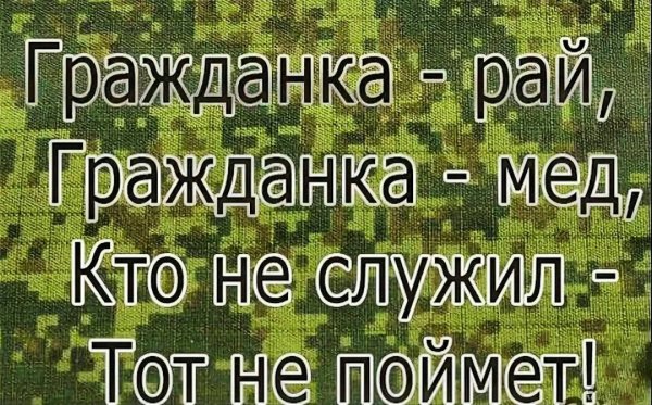 Смешные стихи про дембель