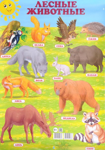 Плакат с животными для детей