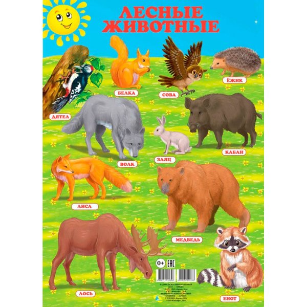 Животные леса карточки