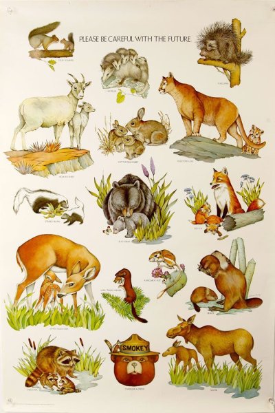 Лесные животные плакат для детей