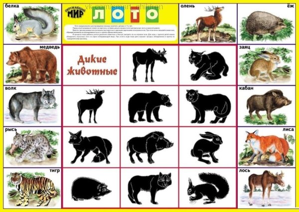 Теневое лото Дикие животные