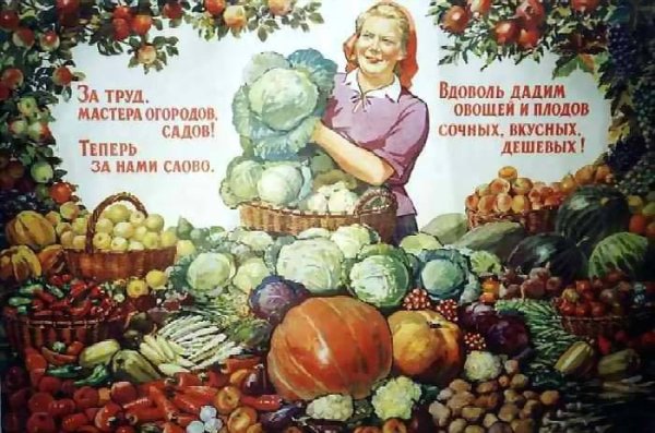 Дачник Советский плакат