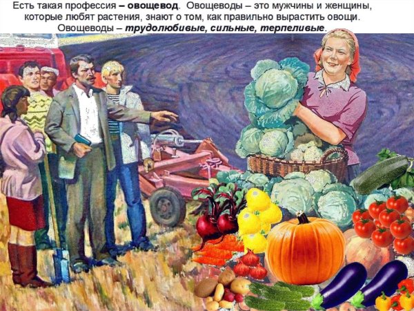 Овощевод профессия для детей