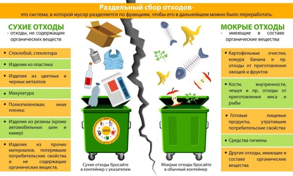 Схема раздельного сбора отходов на предприятии