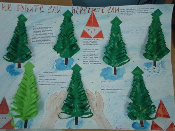 Листовка в защиту хвойных деревьев