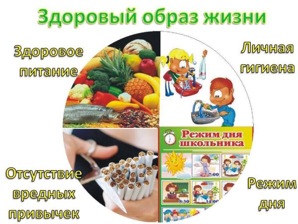 Плакат здоровое Питини