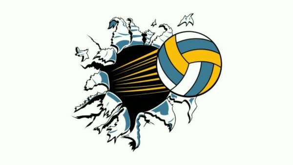 Красивые векторные картинки волейбол