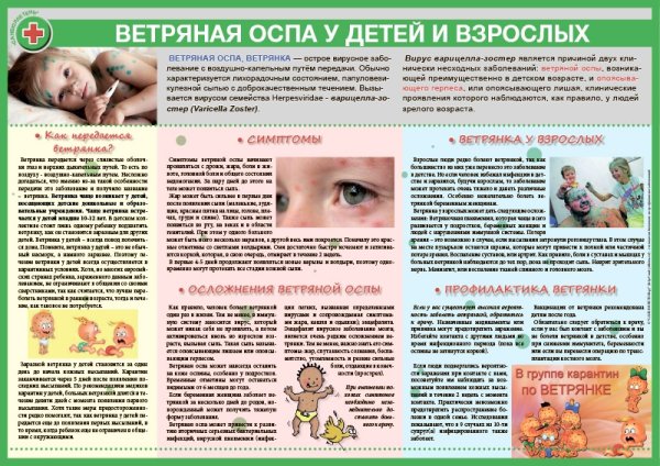 Памятка для родителей по детским болезням ветряная оспа