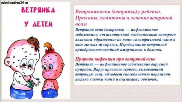 Профилактика ветряной оспы и опоясывающего лишая