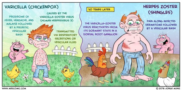 Гангренозная ветрянка