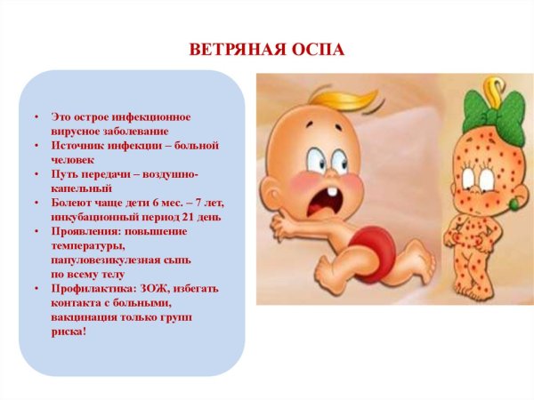 Энтеровирус Коксаки в6
