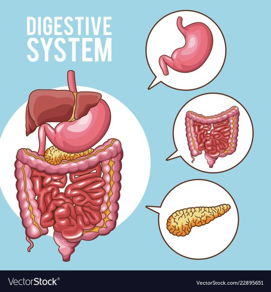 Заболевания пищеварительной системы плакат
