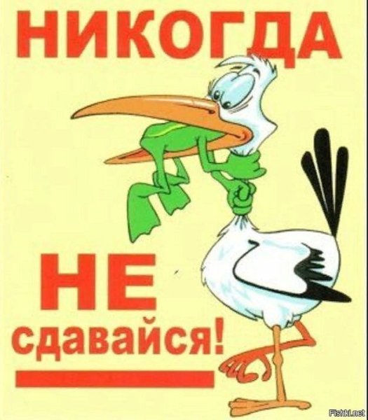 Никогда не сдавайся!
