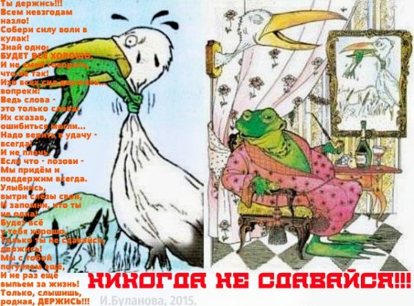 Никогда не сдавайтесь