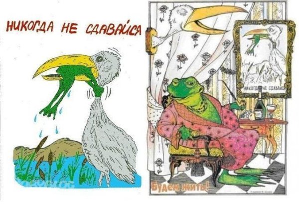 Никогда не сдавайся!