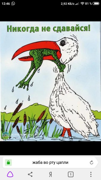 Никогда не сдавайся!