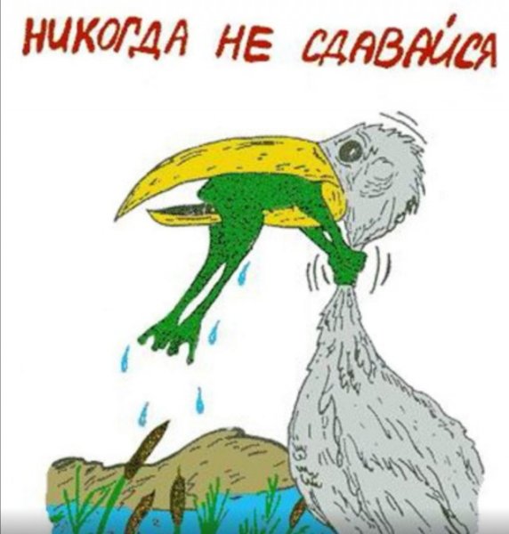 Лягушка и Аист никогда не сдавайся