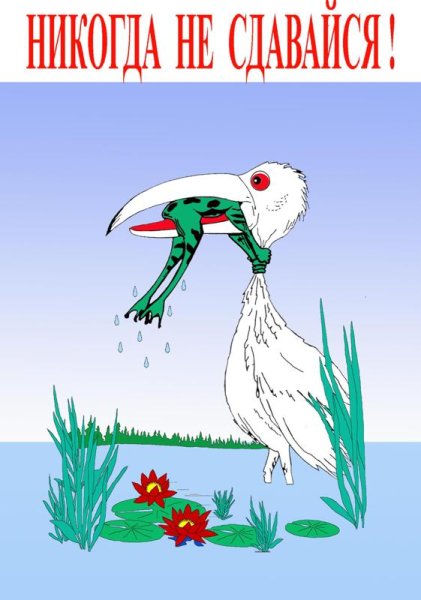 Никогда не сдавайся!
