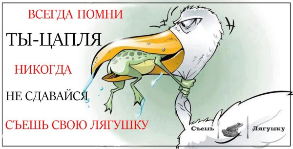 Никогда не сдавайся!