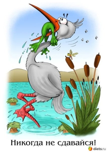 Лягушка и Аист никогда не сдавайся