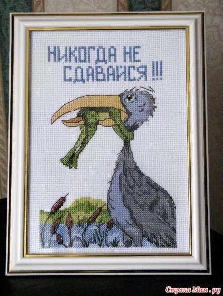 Никогда не сдавайся!