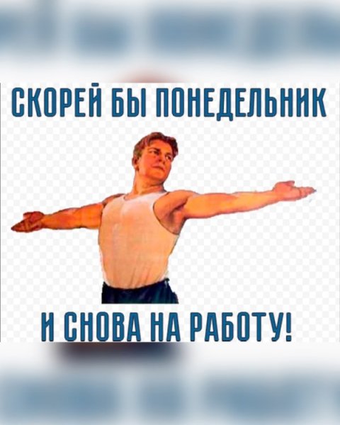 Скорей ты понедельник и снова на работу