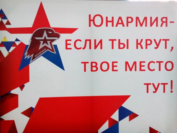 Направления деятельности Юнармии в школе