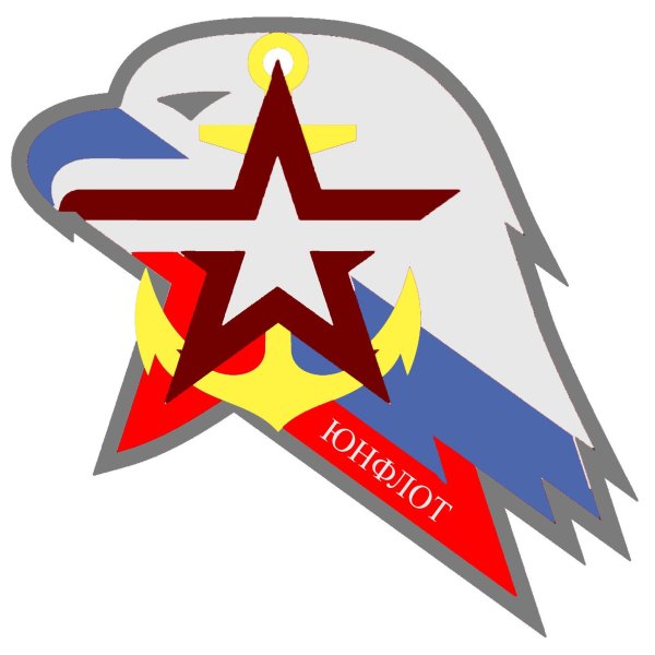 Юнармия надпись