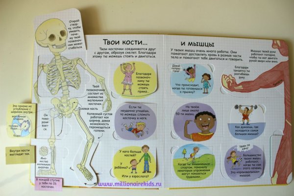 Точки на теле человека