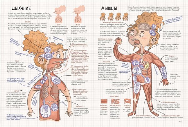 Нервная система человека анатомический атлас