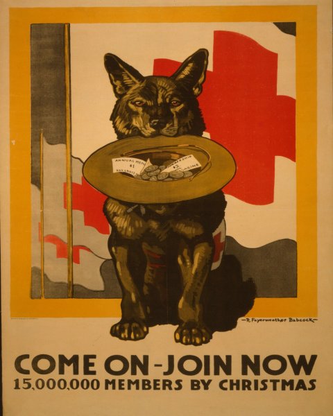 Плакаты с собаками