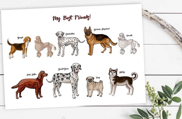 Плакат собака друг человека