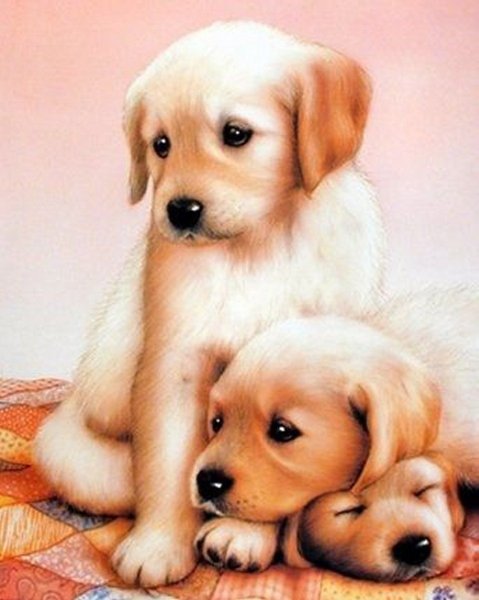 Плакат бездомные животные