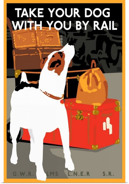 Собака в шляпе