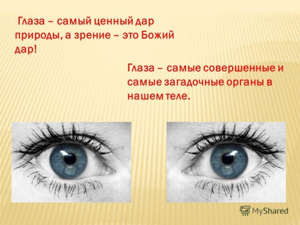 Гигиена глаз памятка