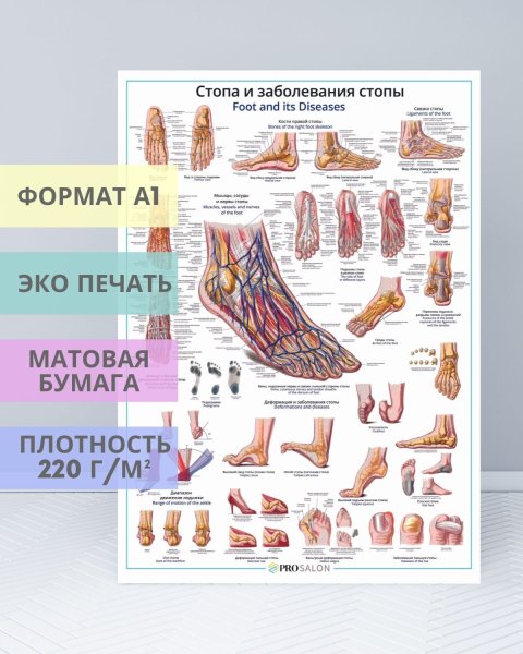 Стопы и лодыжки плакат