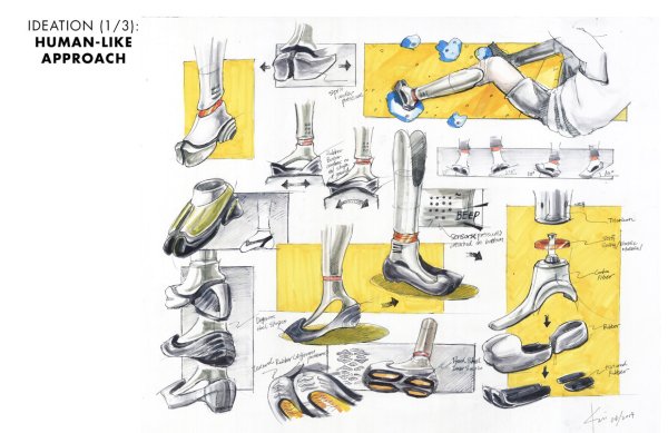 Строение ногтя на ноге большого пальца