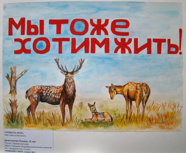 Плакат берегите животных