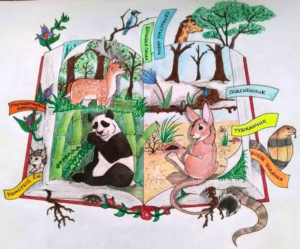 Иллюстрации краснокнижных растений и животных