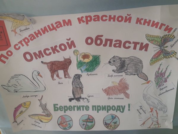 По страницам красной книги рисунок