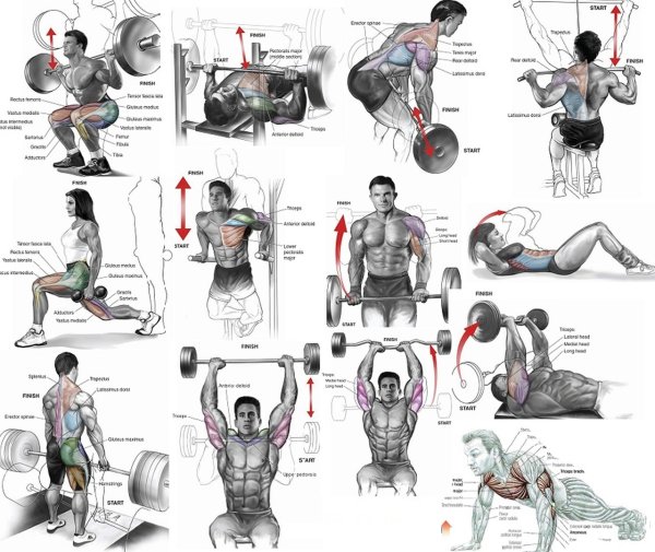 Система тренировок Джо Вейдера плакаты