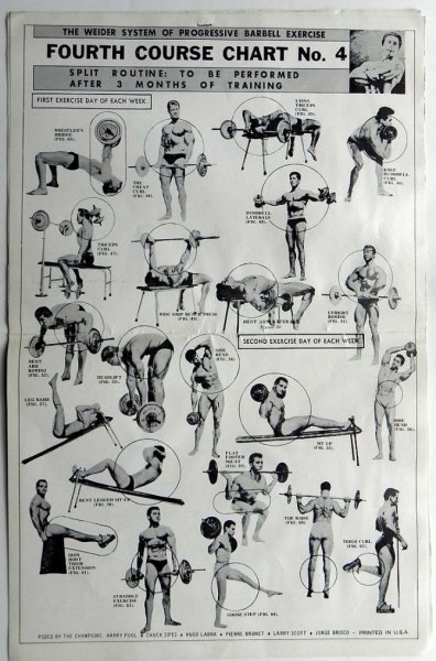 Спортсмены силовых видов спорта